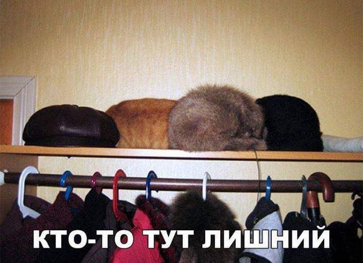 7 КТО ТО ТУТ ПИШНИИ