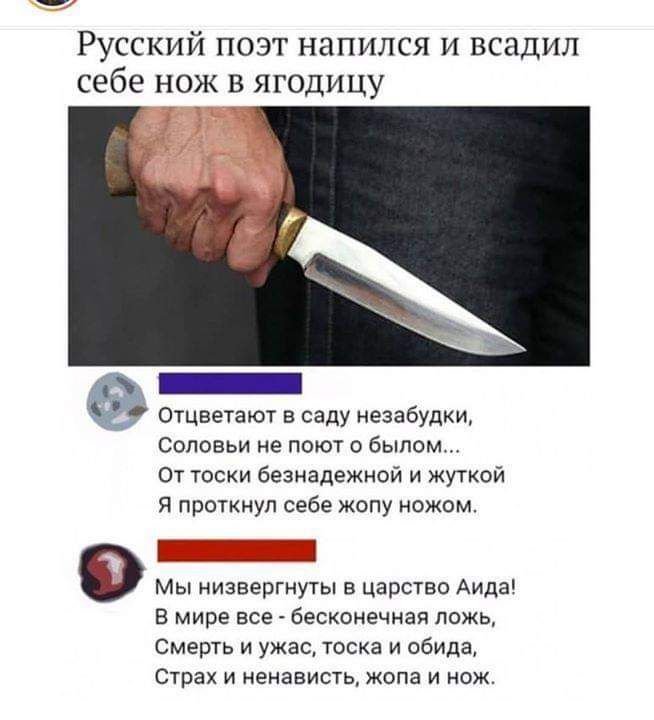 Русский поэт напился и всадил себе нож в ягодицу _ Отцветают в саду незабудки Соловьи не поют былом От тоски безнадежной и жуткой Я проткнуп себе жопу ножом о мы низвергнуты в царство Аида В мире все бесконечная ПОЖЬ Смерть и ужас тоска и обида Страх и ненависть жопа и нож