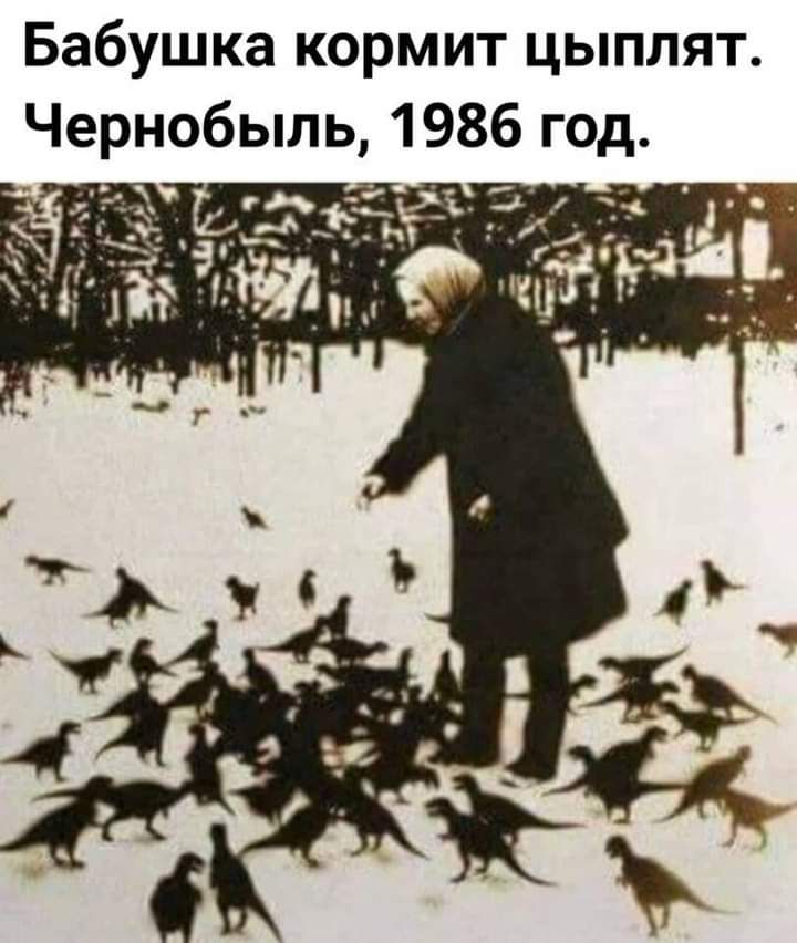 Бабушка кормит цыплят Чернобыль 1986 год