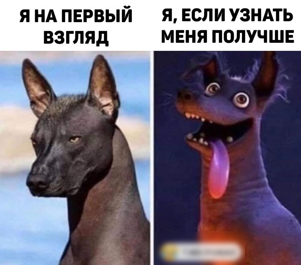 я НА пврвый я ЕСЛИ УЗНАТЬ взгляд мвня получшв