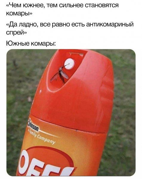 Чем южнее тем сильнее становятся комары Да ладно все равно есть антикомариный спрей Южные комары