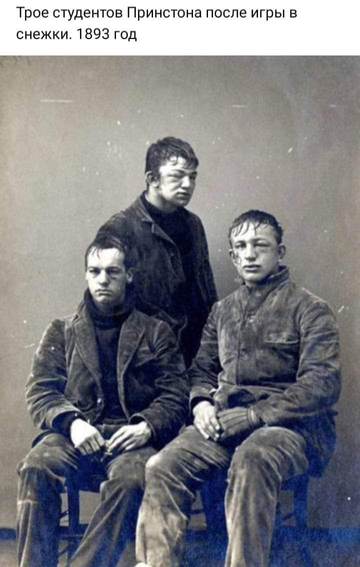 в Ы в Г И е Л С О П 8 Т С Н и в П Т Н е д У Т С е 0 В Т д 0 Г 3 9 8 и к ж е н с