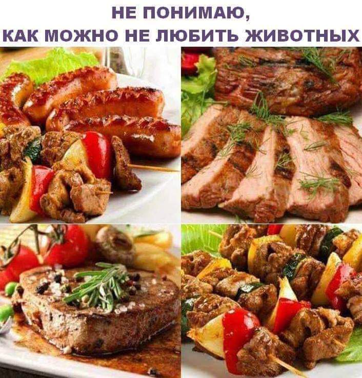 НЕ ПОНИМАЮ КАК МОЖНО НЕ ПЮБИТЬ ЖИВОТНЫХ