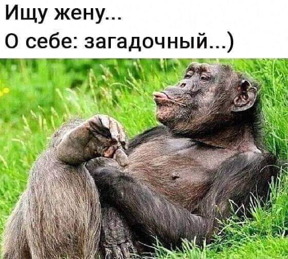 Ищу жену О себе загадочный