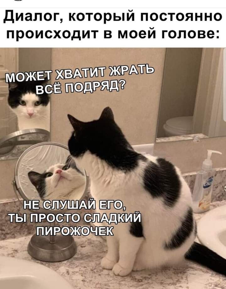 диалог который постоянно ПРОИСХОДИТ В моей ГОЛОВВ может хвмит ЖРАТЬ _всЁ ПОДРЯД г _ н к НЕ СПУШАЁГО ТЫ ПРОСТО САДКИИ ПИРЖ_ЧЕЭК д