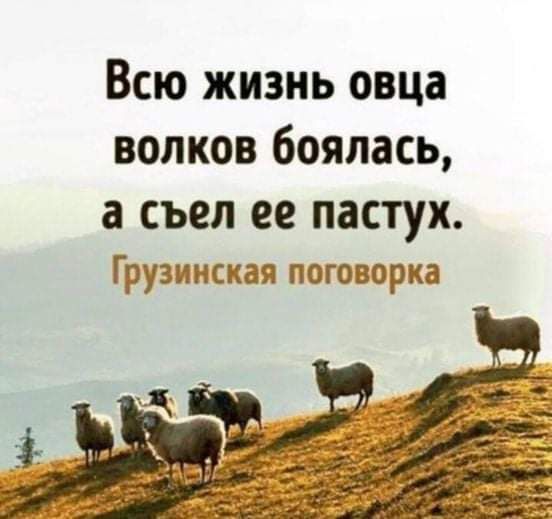 Всю жизнь овца волков боялась а съел ее пастух Грузинская поговорка