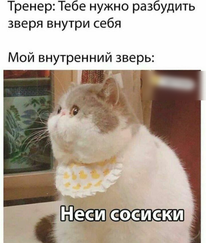 Тренер Тебе нужно разбудить зверя внутри себя Мой внутренний зверь _БЁ Т
