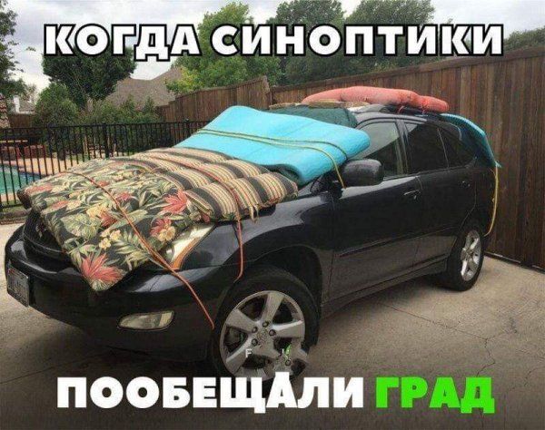 З КЕО Гздд СИНОПТИКИ д ПООБЕЁЦЛИ