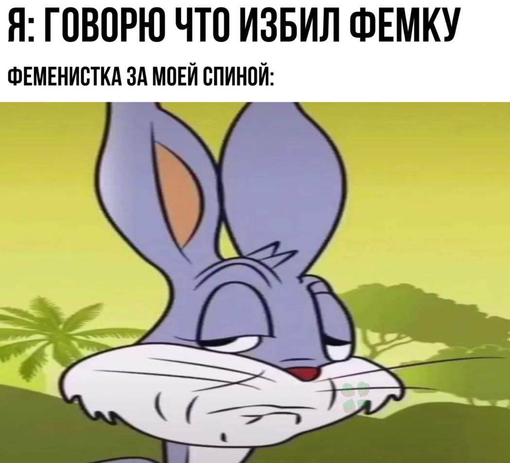 Я ГОВОРЮ ЧТО ИЗБИЛ ФЕМКУ ФЕМЕНИОТКА ЗА МОЕЙ ОПИНОЙ