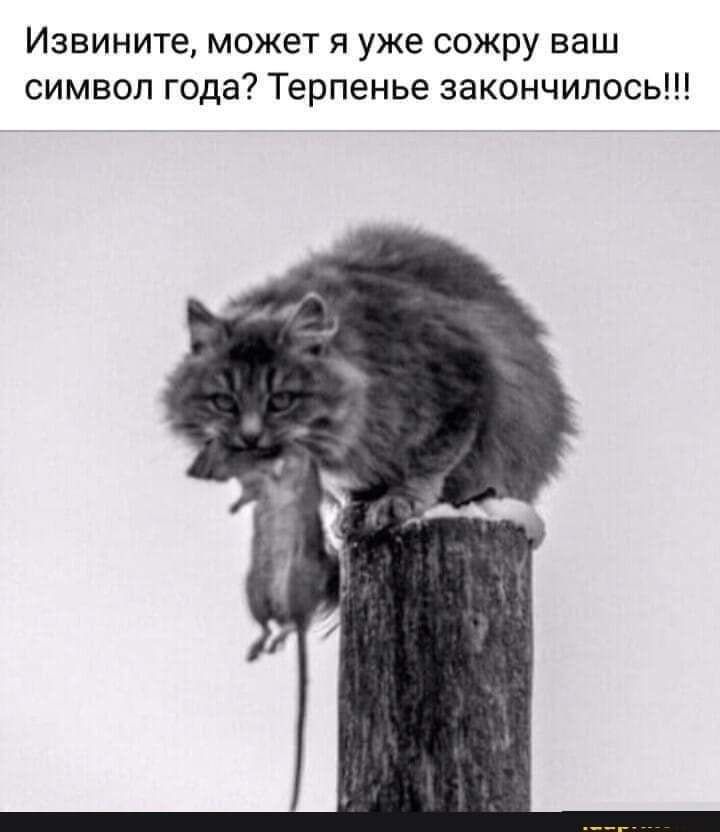 Извините может я уже сожру ваш символ года Терпенье закончилось