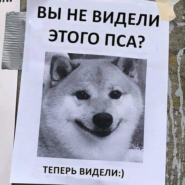 вы НЕ ВИдьли этого псд дт ТЕПЕРЬ ВИДЕЛИ