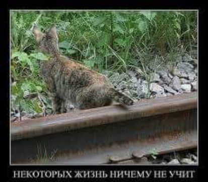 НЕКОТОРЫХ ЖИЗНЬ ПИЧЕМУ НЕ УЧИТ
