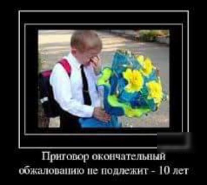 Притаюр окончатспшцп обжалованию не подлежит лет