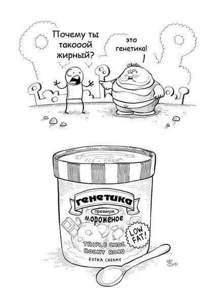 Почему ты таковом г жирный