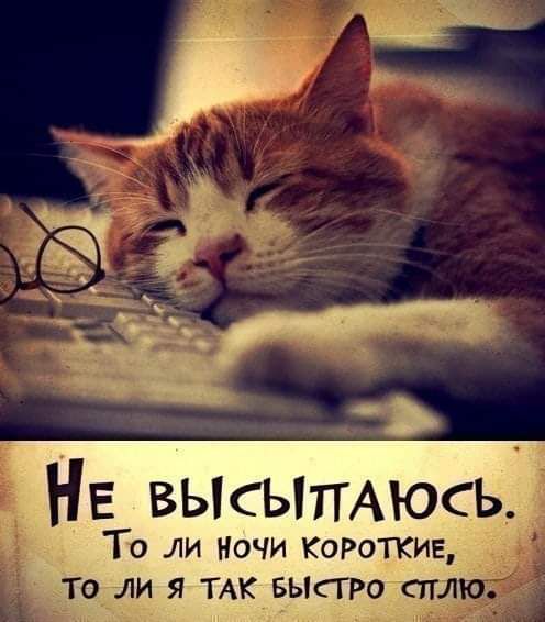То ли Ночи ком кич и я ТАК_Б_ЫСП0