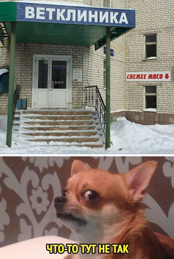 чтотр ТУТЁЕ ТАК