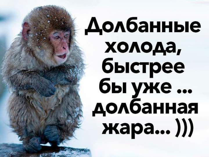 АФАбанные ходода быстрее быуже додбанная жара
