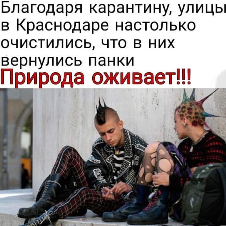 Благодаря карантину улицы в Краснодаре настолько очистились что в них вернулись панки Природа оживаатд Ш