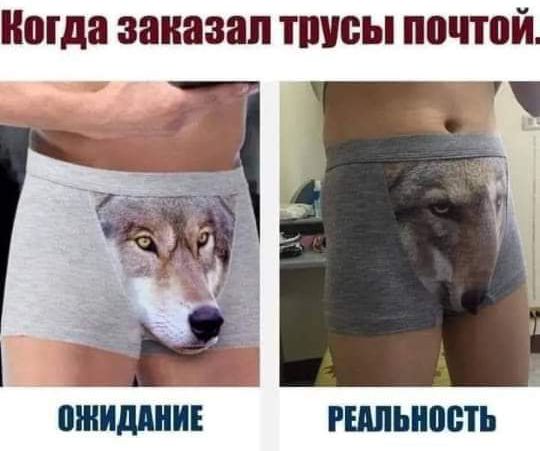 Когда заказал ПШВЫ почтой СШИДШИЕ РЕШШВБТЪ