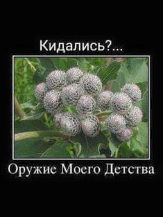 Оружйе Мбего Детства