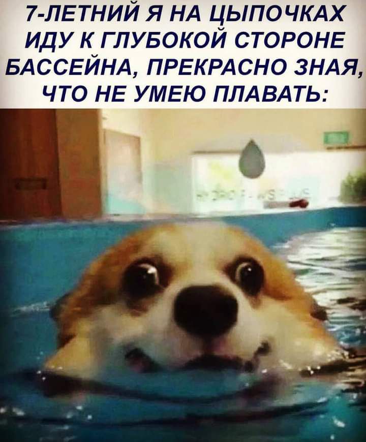 7 ЛЕТНИЙ я НА цыпо чкдх иду к глувокой СТОРОНЕ БАССЕЙНА ПРЕКРАСНО 3НАЯ что НЕ УМЕЮ ПЛА ВАТЬ