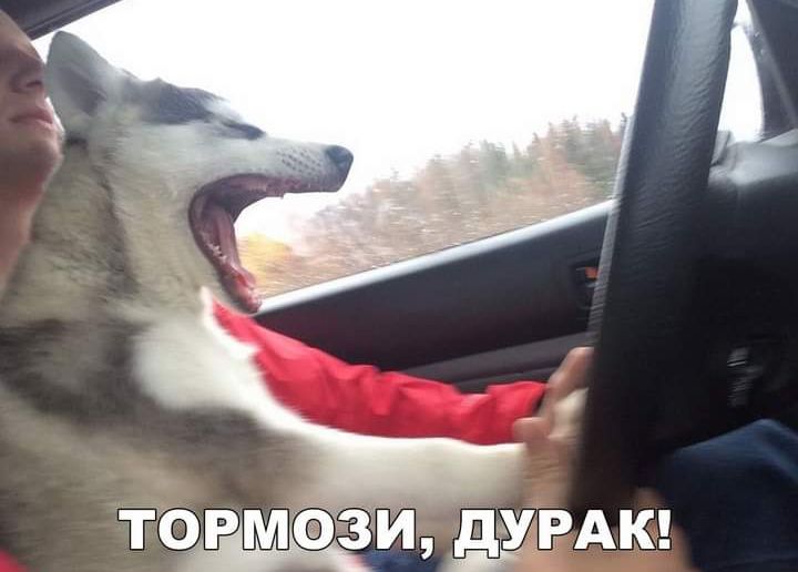 Тоірімдізи ЩРАК