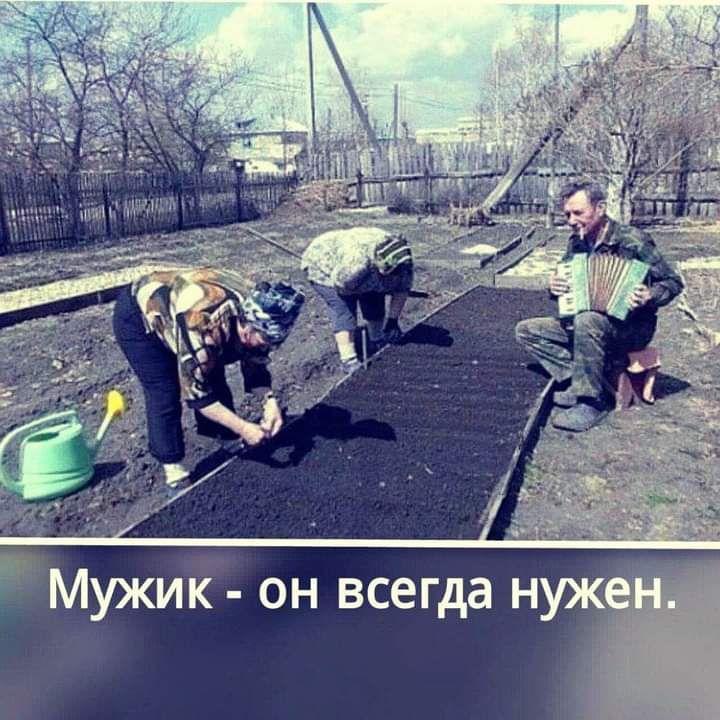 _д Мужик он всегда нужч