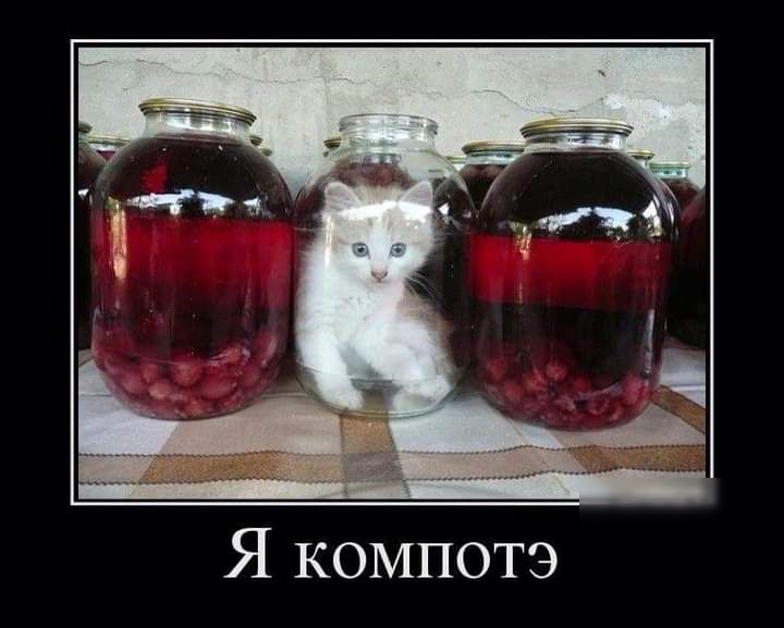 Я компотэ