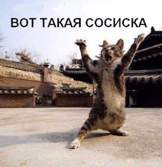 ВОТ ТАКАЯ СОСИСКА