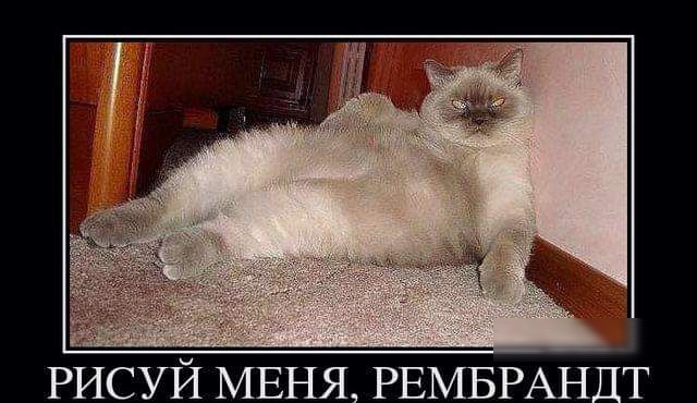 РИСУИ МЕНЯ РЕМБРАНДТ