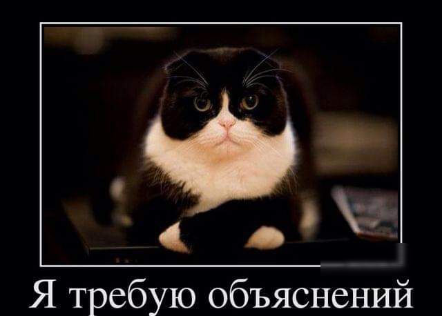 Я требую объяснений