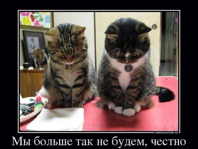 Мы больше так не будем честно