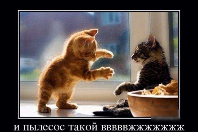 И ПЫЛЕСОС такой ВВВВВЖЖЖЖЖЖЖ