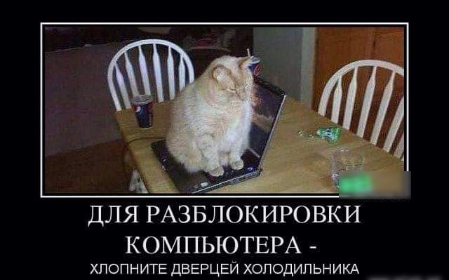 ДЛЯ РАЗБЛОКИРОВКИ КОМПЬЮТЕРА ХПОПНИТЕ ДВЕРЦЕЙ ХОПОДИПЬНИКА