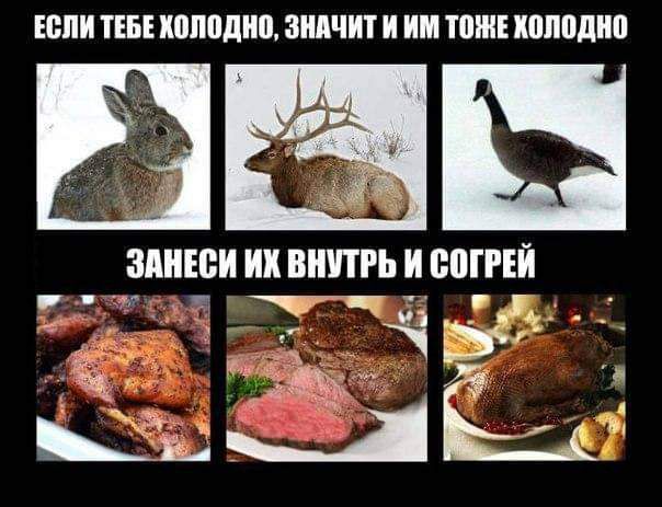 ЕСЛИ ТЕБЕ ИШШДИП ЗНАЧИТ И ИМ ТШИЕ ИПППДИП