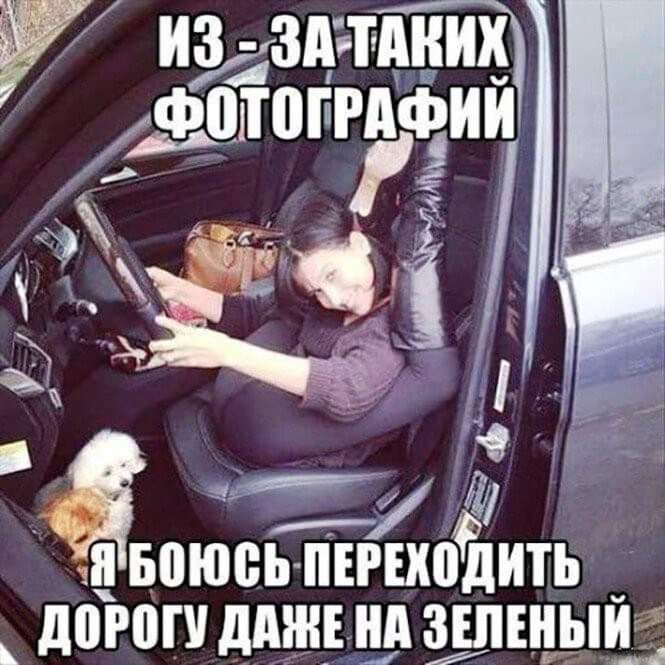 Боюсь ПЕРЕХПДЙТЬ Ч дороги дАШЕ нд ЗЕЛЕНЫЙ