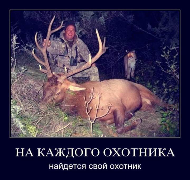 НА КАЖДОГО ОХОТНИКА найдется свой охотник