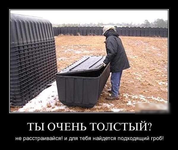 ТЫ ОЧЕНЬ ТОЛСТЫЙ не распраивайся и для тебя найдется подходящий гроб