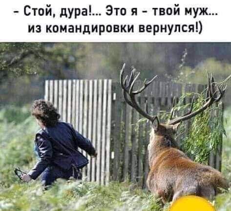 Стой дура Это я твой муж из командировки вернулся
