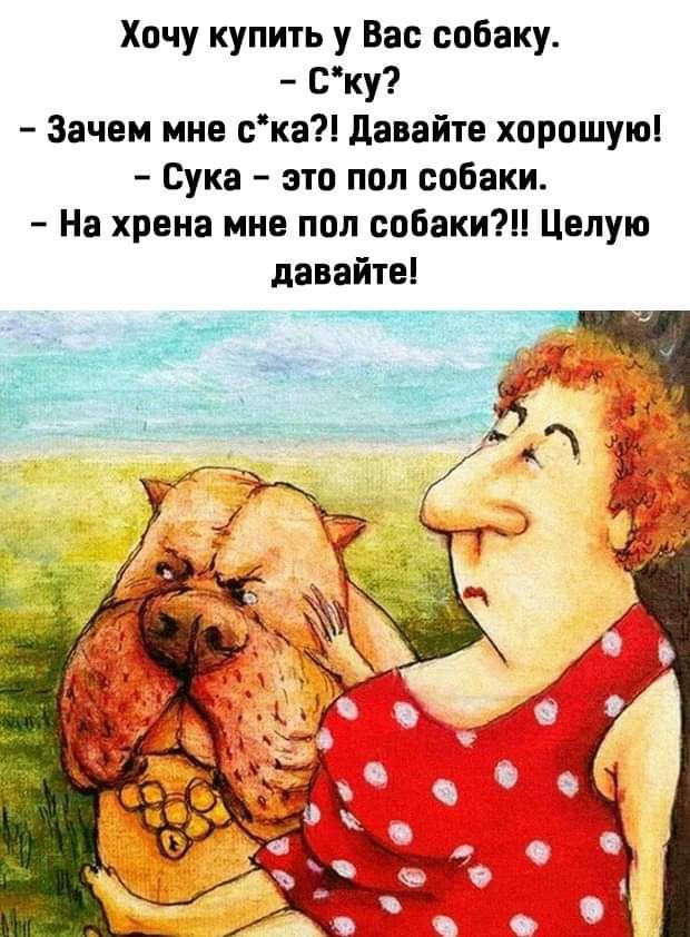 Хочу купить у Вас собаку Ску Зачем мне ска давайте хорошую Сука это пол собаки На хрена мне пол собаки Целую давайте