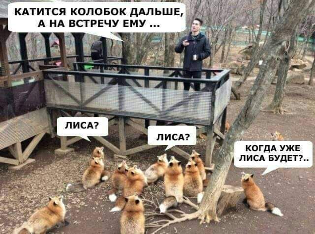 в _ КОГДА УЖЕ ЛИСА БУДЕТ