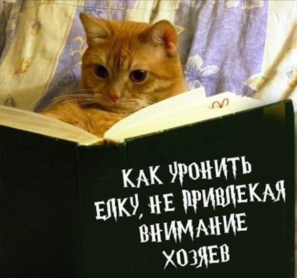 9 ШШ Е РИВЦЁКА ХОЗЯЁ