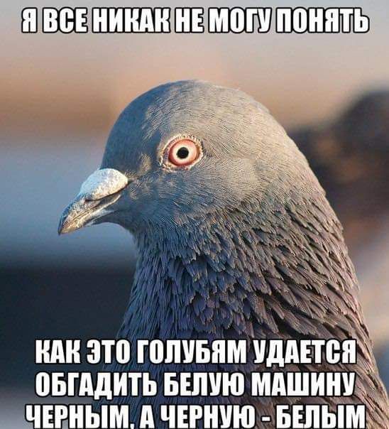 или это гопчьпмтддв сп _ пыпдить вшию мпшиниъ цчіиным дчвгнию вшъімёж