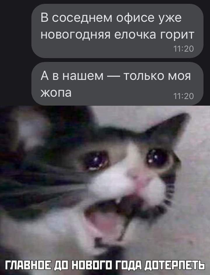 В соседнем офисе уже НОВОГОДНЯЯ елочка горит 1120 А В нашем _ ТОЛЬКО МОЯ жопа 1120 ГЛдВНШЕ дЕі ВПГП Г дШЕРПЕГЬ