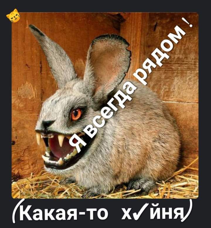 ЬСЗ дикая т іхтия