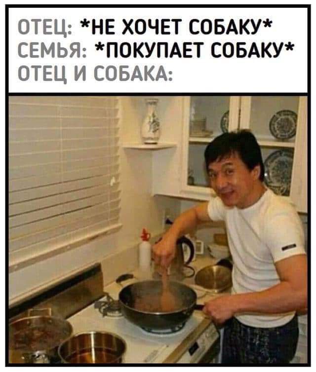 ОТЕЦ НЕ ХОЧЕТ СОБАКУ СЕМЬЯ ПОКУПАЕТ СОБАКУ ОТЕЦ И СОБАКА