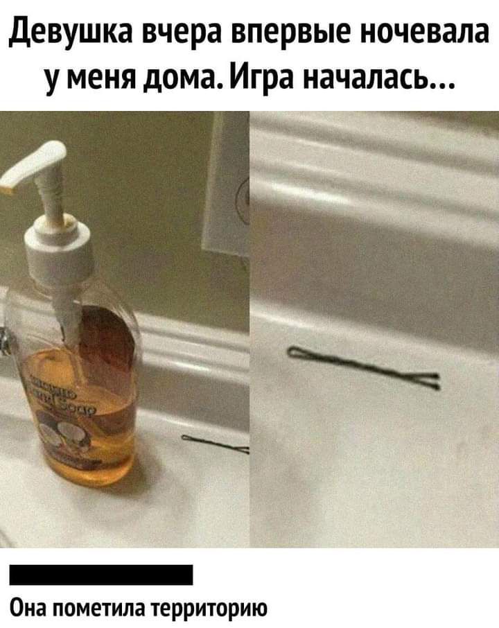 Девушка вчера впервые ночевала у меня дома Игра началась Она пометила территорию