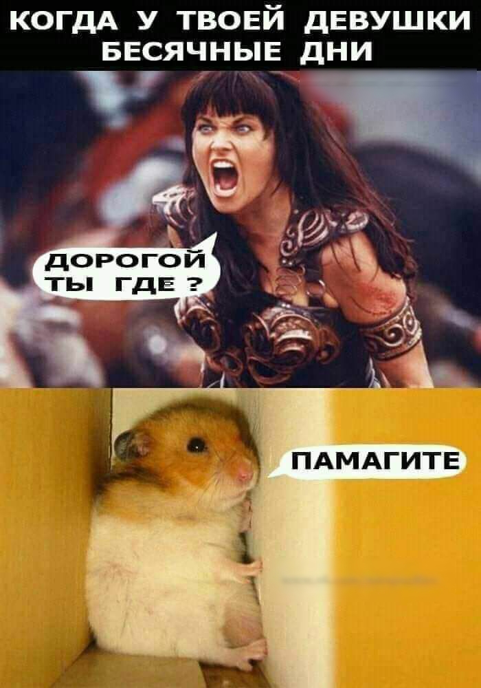 КОГДА У ТВОЕЙ дЕВУШКИ БЕСЯЧНЬіЕ дНИ ПАМАГИТЕ