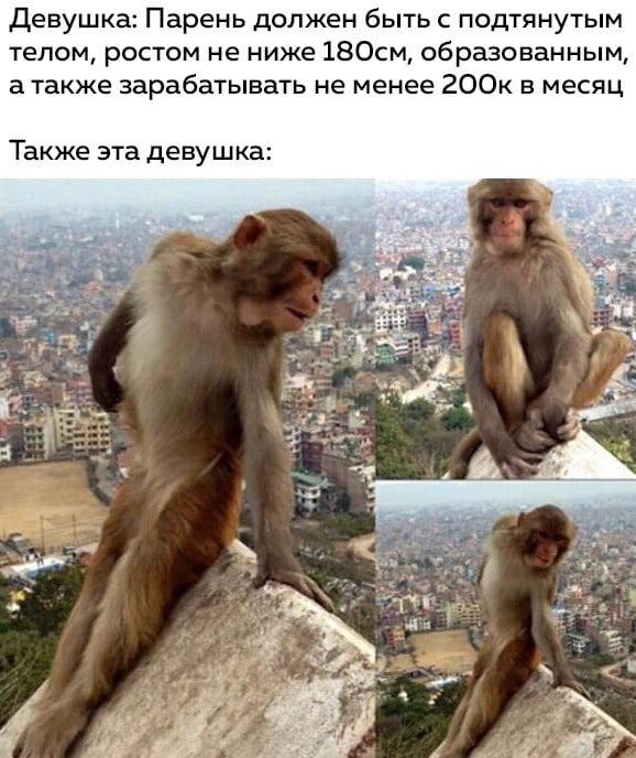 девушка Парень должен быть с подтянутым телом ростом не ниже 180см образованным а также зарабатывать не менее 200 в месяц Также ЭТВ девушка