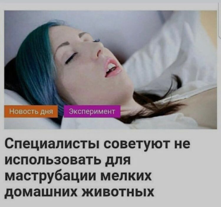 нн зги пни Эксперимент специалисты СОВЭТУЮТ не ИСПОЛЬЗОВЗТЬ дЛЯ маструбации МЕЛКИХ дОМдШНИХ ЖИВОТНЫХ
